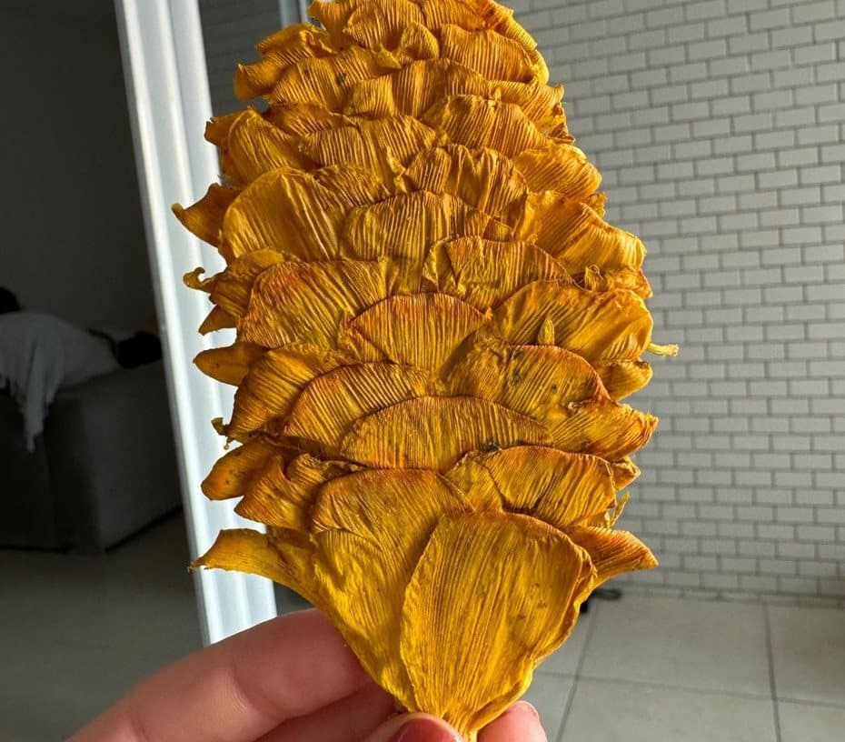 Flor com cor dourada recuperada após a correção de cor
