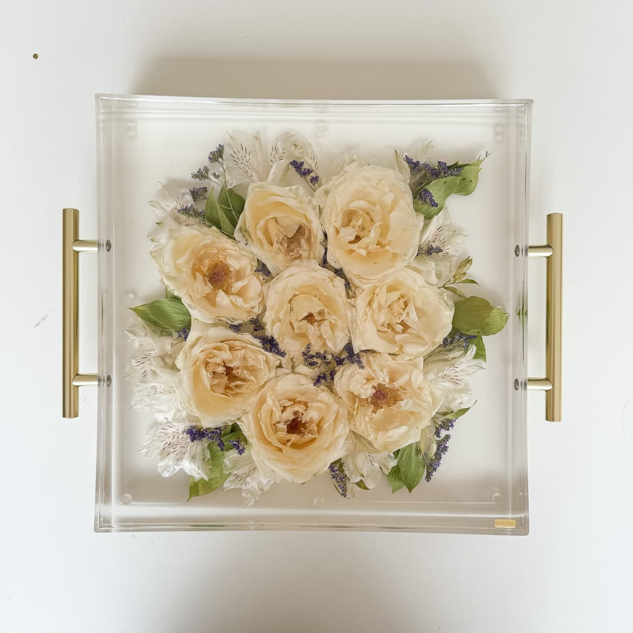 pomelli_photoshoot_image_4_5_0430 (8)