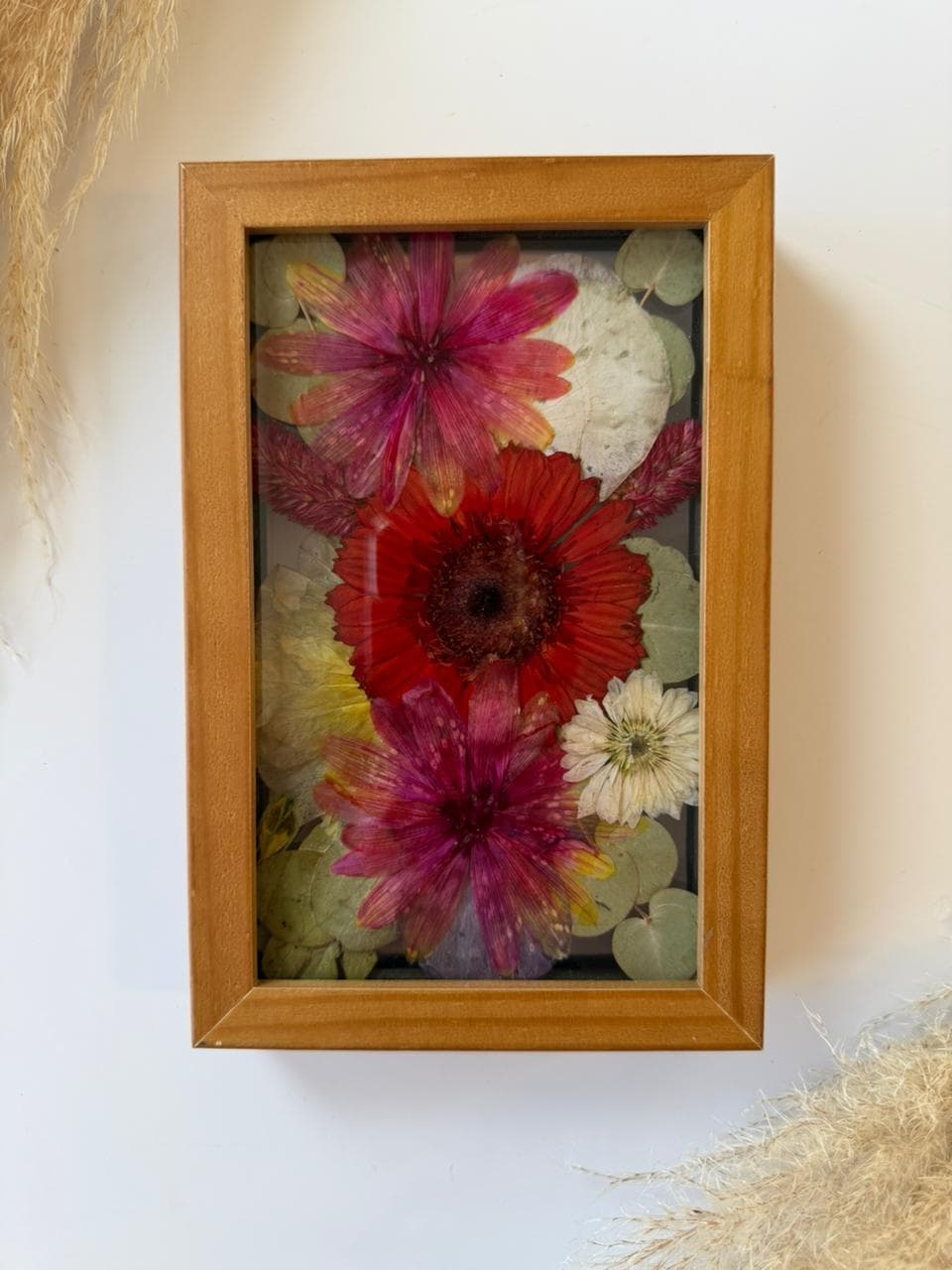 WhatsApp Image 2025-11-27 at 17