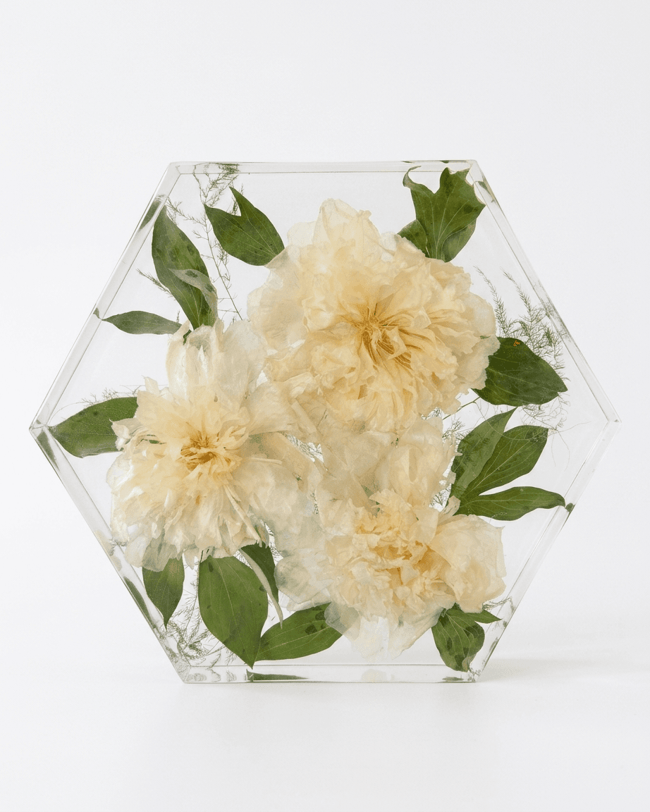 pomelli_photoshoot_image_4_5_0429 (15)