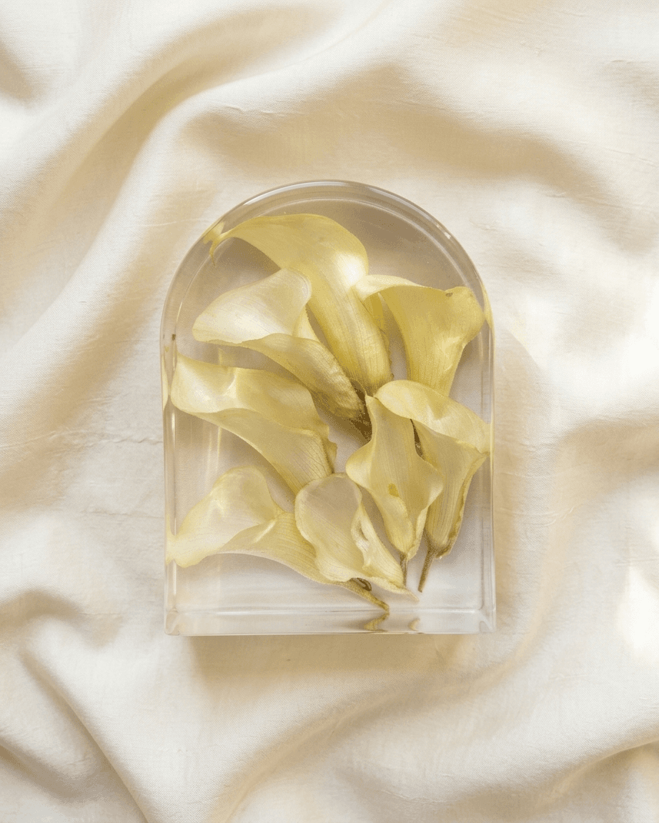pomelli_photoshoot_image_4_5_0429 (20)