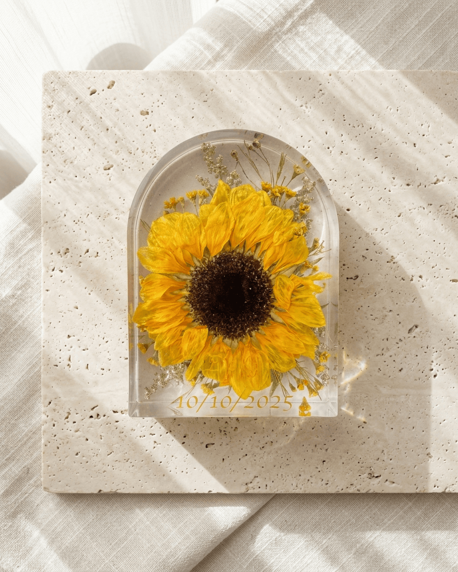 pomelli_photoshoot_image_4_5_0429 (20)