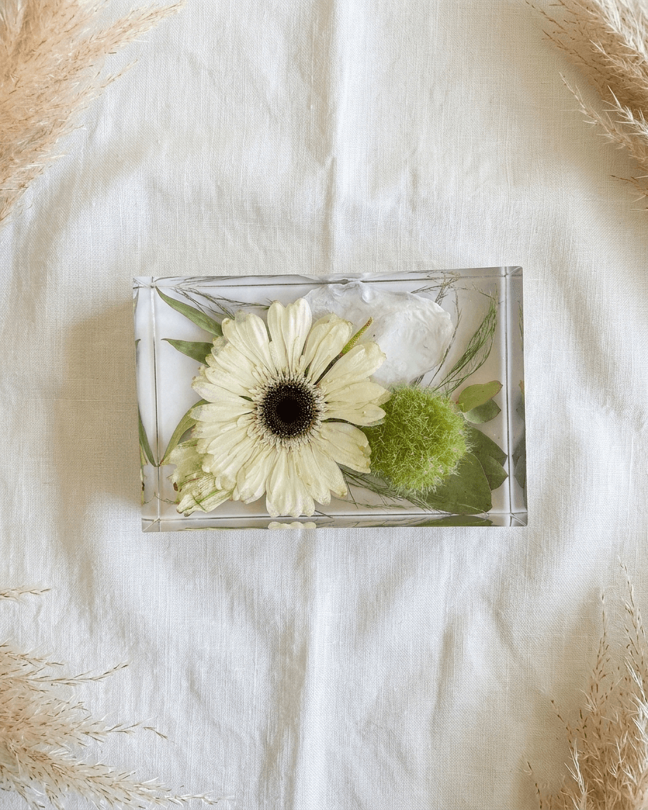 pomelli_photoshoot_image_4_5_0430 (3)