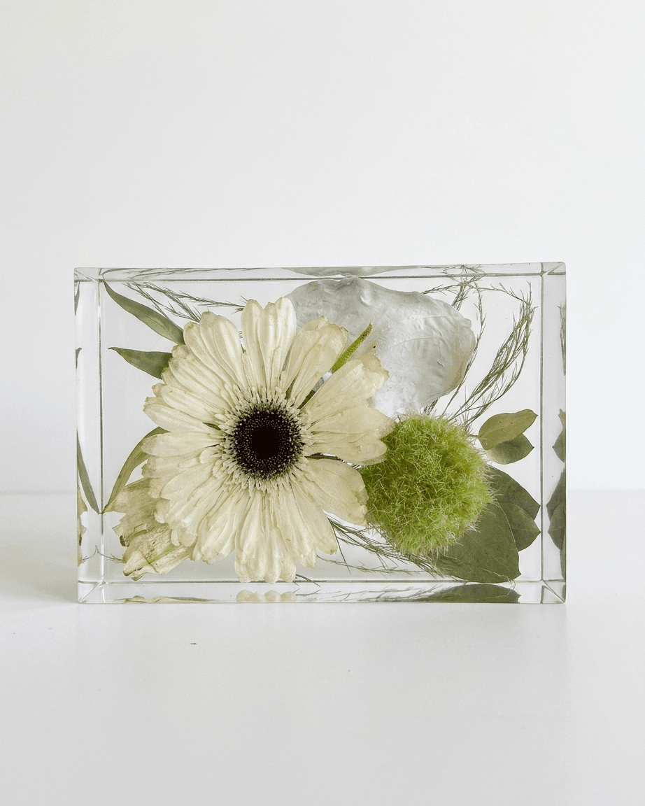 pomelli_photoshoot_image_4_5_0430 (3)