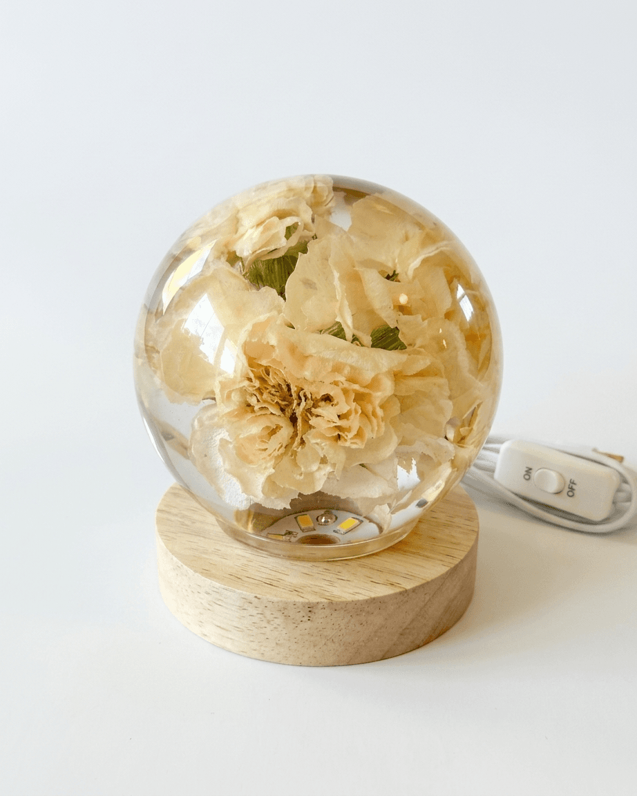 pomelli_photoshoot_image_4_5_0430 (17)